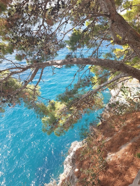 Positano Via Positanesi d'America